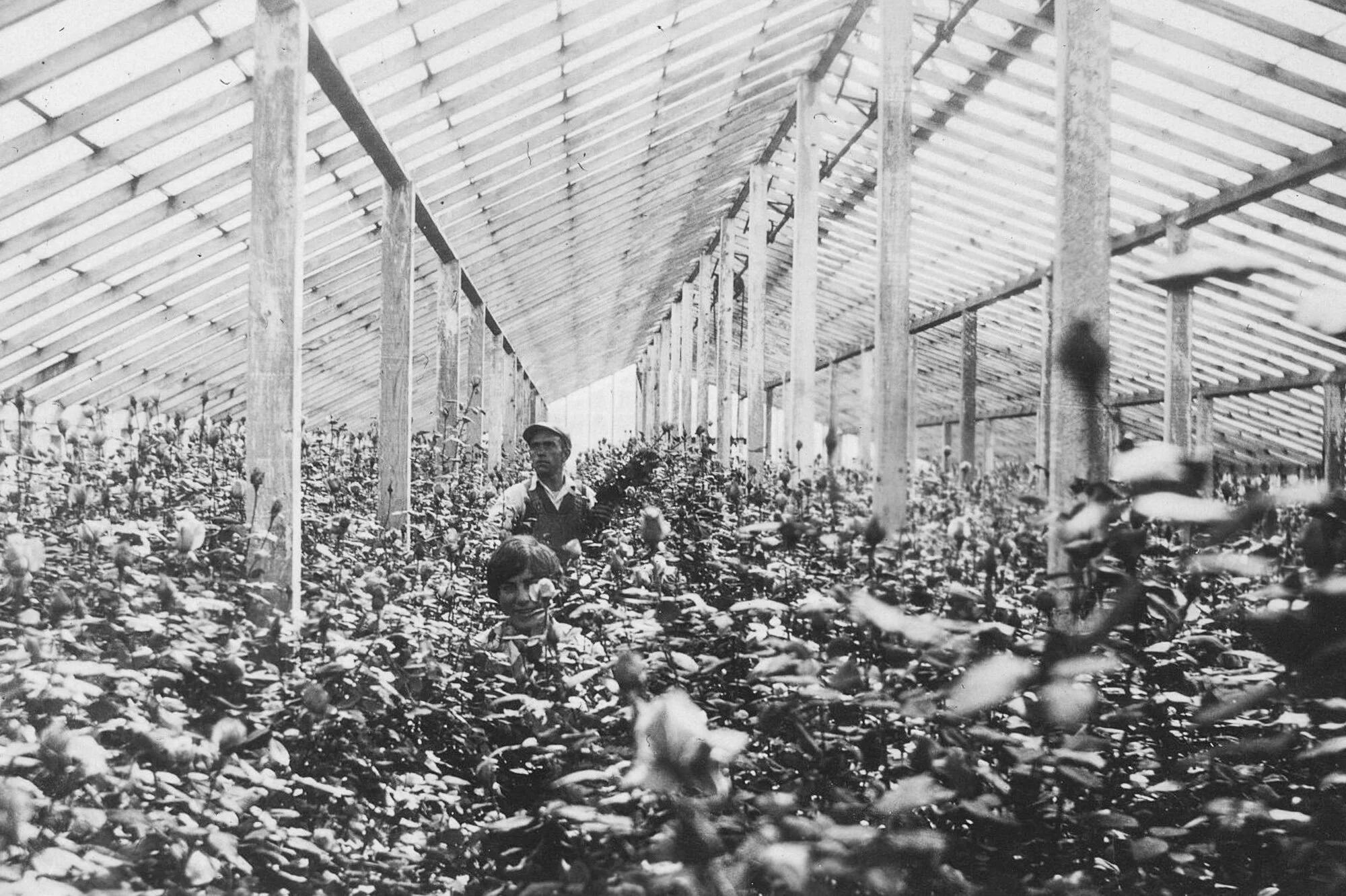 History — Friends of 770 Woolsey